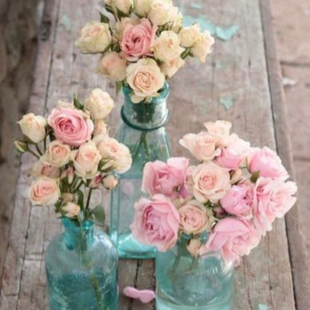 Meet your Posher, Ana